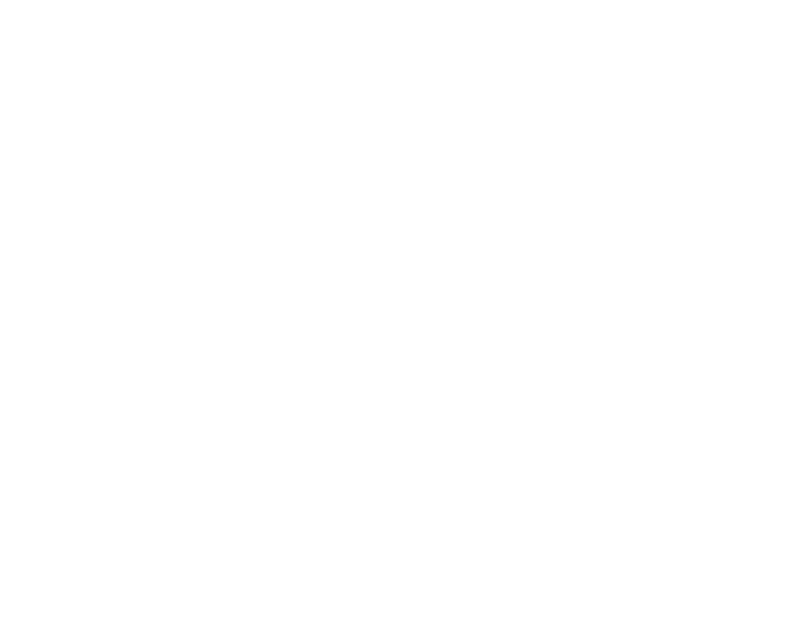 Hadidexim Logo